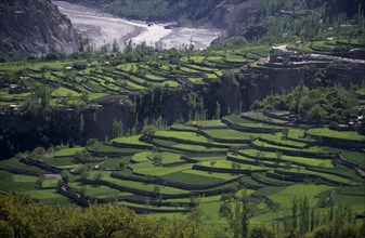 PAKISTAN, Hunza Valley, Agriculture, Wheat terraces either side of deep gully.