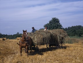 LITHUANIA, Agriculture, Farm workers on horse drawn cart of cut hay.