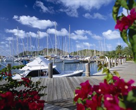 WEST INDIES, Antigua, Jolly Harbour Marina with wooden jetty and moored yachts.