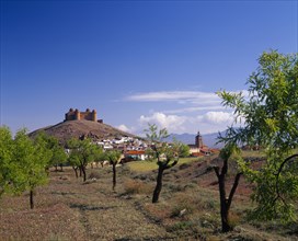 SPAIN, Andaluci, La Calahorra, "Castle on hilltop, village houses & church beneath, olive trees "