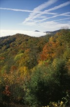 USA, North Carolina, Smoky Mountain , Great Smoky Mountain National Park. Tress in autumn colours.