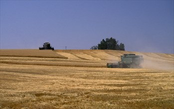 USA, Idaho, Agriculture, Combine harvester in wheat field