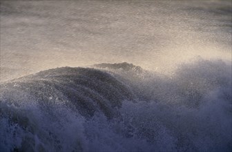 SEA, Waves, Spray topped waves crashing onto Hastings beach