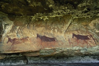 SOUTH AFRICA, KwaZulu Natal Kamberg, Kamberg, Bushmen San Rock art paintings of animals at