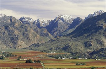 SOUTH AFRICA, Northern Cape, Hex River Valley, Wine area with flat cultivated land below snow