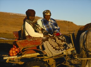 SOUTH AFRICA, Orange Free State, Tribal Peoples, "Basotho women in horse drawn cart, oranges on