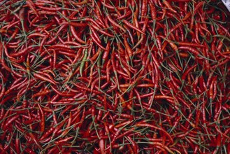 THAILAND, Bangkok, Red chilli peppers drying