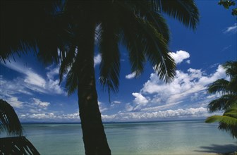 MADAGASCAR, Isle St Marie, View to sea through palm trees