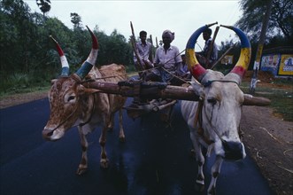 10123401 INDIA Tamil Nadu Transport Pair of oxen with painted horns pulling wooden cart