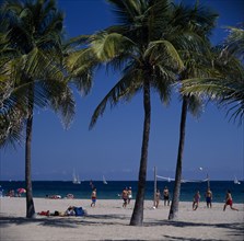 USA, Florida , Fort Lauderdale, Beach volleyball seen through Palm trees