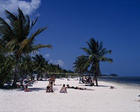 USA, Florida , Key West, Sandy beach lined palm trees with sunbathers