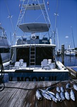 USA, Florida, Fort Lauderdale, Fishing Boat docked in Marina with catch of fish in foreground