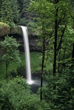 USA, Oregon, Salem, Silver Springs State Park. Waterfall surrounded by lush forest