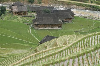 CHINA, Guangxi, Farming, Farmer in rice terrace paddy with farm bulidings and river below  rice