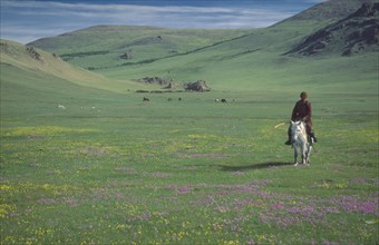 MONGOLIA, People, Mongolian Horseman in green valley
