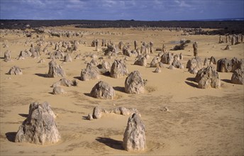 AUSTRALIA, Western Australia, Nambung National Park, The Pinnacles. View  over the desert landscape