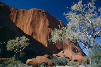 AUSTRALIA, Northern Territory, Uluru, Ayers rock. Oblique view with Gum trees at the base