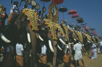 INDIA, Kerala, Trichur , The Great Elephant March. Decorated elephants standing in line with