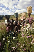 SOUTH AFRICA, KwaZulu Natal, Group of children carrying tubs for water on their heads in field of