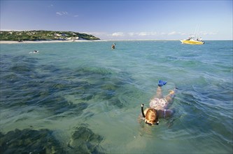MOZAMBIQUE, Maqaruque Island, Tourists snorkelling from a dive boat in shallow water