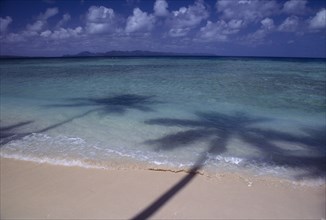 PACIFIC ISLANDS, Fiji, Taveuni Island, Lavena beach. Palm tree shadows on sandy beach with lapping