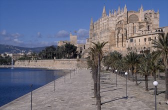 SPAIN, Balearic Islands, Majorca, Palma. View along the tree lined promenade toward La Seo
