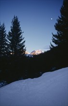 FRANCE, Rhone Alps, Mont Blanc, View from snow covered hillside through trees to sunlit mountain
