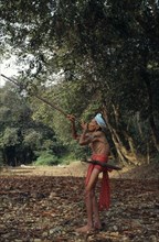 MALAYSIA, Borneo , Sarawak, Iban man using a blowpipe in the forest