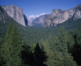 USA, California, "Yosemite National Park, mountain scenery with fir tree forest in front "