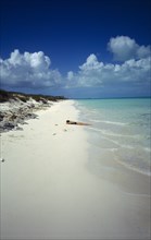 WEST INDIES, Turks And Caicos, Provo, Quiet beach with sunbather lying on the sand by the waters