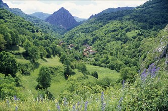 SPAIN, Picos de Europa, Castille y Leon, Ribota de Abajo mountain village.  Situated in green