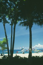 INDONESIA, Lombok, Senggigi , Beach seen through coconut palm trees with outrigger fishing