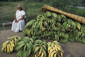 BOLIVIA, Rurrenabaque, Banana vendor by roadside. Woman dressed in white wearing a hat.