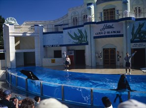 USA, Florida , Orlando , Seaworld. Clyde and Seamore Show with Dolphins in pool performing tricks