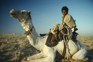 SUDAN, North, "Bedouin camel herder sitting on kneeling camel, shelters against desert winter wind