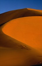 LIBYA, South West , Achan , Orange desert sand dune against a clear blue sky