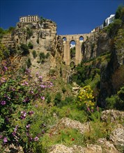 SPAIN, Andalucia, Malaga Province, "Ronda, Puente Nuevo Bridge spans deep rocky chasm, wild flowers