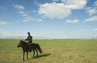 MONGOLIA, Animals, Horses, Horseman in field