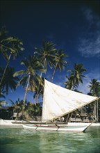 PHILIPPINES, Visayan Islands, Boracay Island, Sailboat moored on the beach lined with tall palms