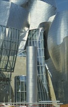 SPAIN, Basque Province, Bilbao, Guggenheim Museum exterior detail