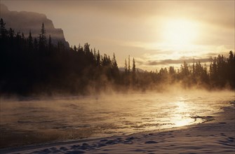 CANADA, Alberta , Lake Louise, Sunrise over misty Bow River and tree lined bank