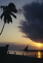 ZANZIBAR, Beach Scene, View over beach with overhanging palm and people with silhouetted dhow at