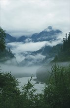 TIBET, Yiang Tsangpo River, Low clouds in the tree lined valley with mountains above