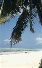 ZANZIBAR, Jambiani , Golden sandy beach with people waliking framed by over hanging Palm tree