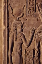EGYPT, Komombo , Relief carving of the goddess Hathor