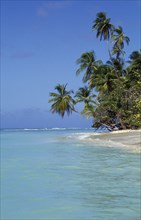 WEST INDIES, Tobago, Pigeon Point, View along shore and beach with palm trees stretching out over