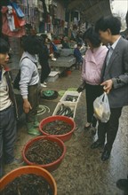 CHINA, Guangzhou , Eels in Market