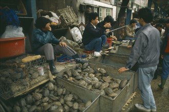 CHINA, Qingping, Buying Turtles
