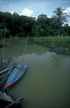 MALAYSIA,  , Brunei, Jungle River