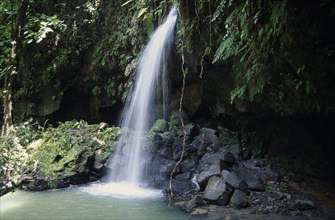 WEST INDIES, Dominica, Emerald Pool, Waterfall and plunge pool in thick tropical rainforest.